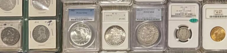 Collector coins displayed in guarantee packages, emphasizing their preserved state and certified value for sale.
