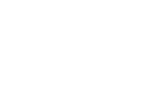 ANA Member