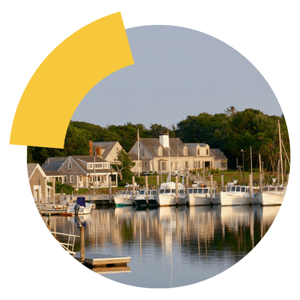 Boats moored at a marina in front of waterfront houses